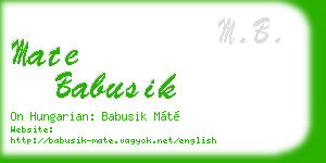 mate babusik business card