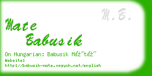 mate babusik business card